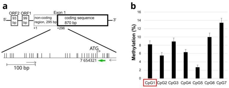https://cdn.ncbi.nlm.nih.gov/pmc/blobs/9fb2/11595341/a314da6da8f6/ijms-25-12444-g003.jpg