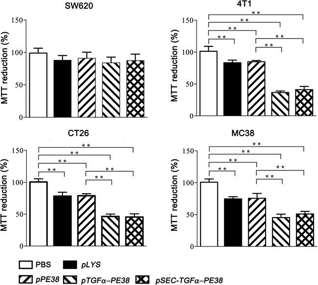 https://cdn.ncbi.nlm.nih.gov/pmc/blobs/9fb2/5514929/3189a4c3ec0b/oncotarget-08-37550-g002.jpg