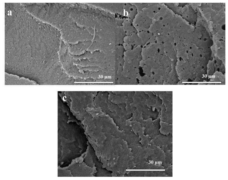 https://cdn.ncbi.nlm.nih.gov/pmc/blobs/9fb2/7023530/2b084e9ccac1/polymers-12-00038-g002.jpg