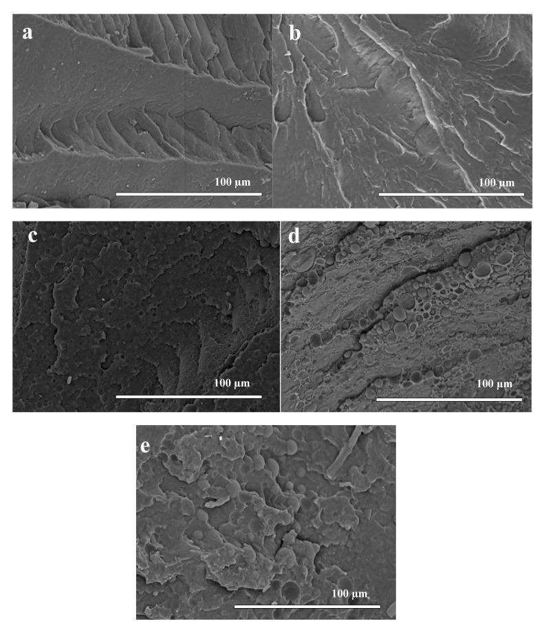 https://cdn.ncbi.nlm.nih.gov/pmc/blobs/9fb2/7023530/d167d1d34ef4/polymers-12-00038-g001.jpg