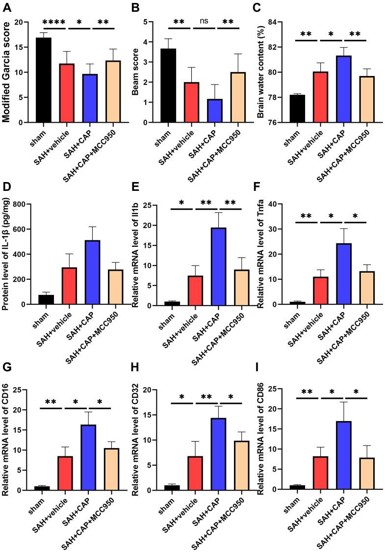 https://cdn.ncbi.nlm.nih.gov/pmc/blobs/9fb5/10866436/de80430e3ca1/aging-16-205379-g005.jpg