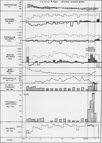 https://cdn.ncbi.nlm.nih.gov/pmc/blobs/9fb5/1609781/540304802553/annsurg01311-0018-a.jpg