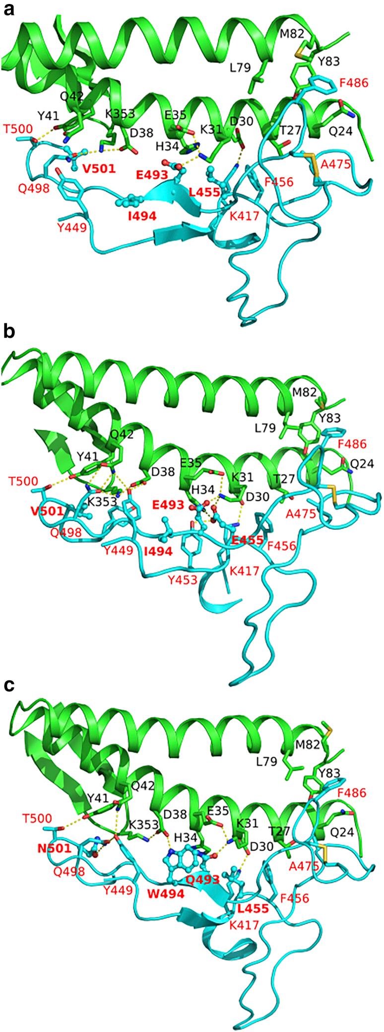 https://cdn.ncbi.nlm.nih.gov/pmc/blobs/9fb5/8390902/d0050bcee892/gr5.jpg