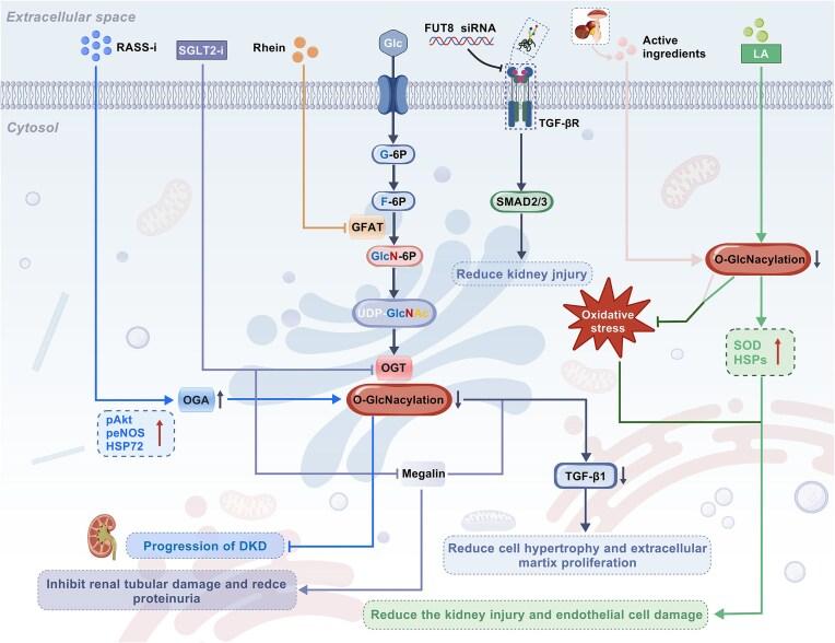 https://cdn.ncbi.nlm.nih.gov/pmc/blobs/9fb7/12368498/34be1f49213f/pbaf017fig6.jpg