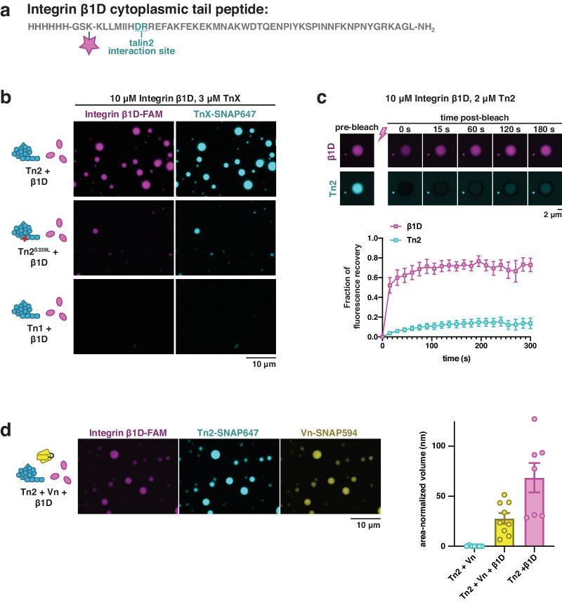 https://cdn.ncbi.nlm.nih.gov/pmc/blobs/9fb8/11166923/9f9db044b2f4/41467_2024_49222_Fig2_HTML.jpg
