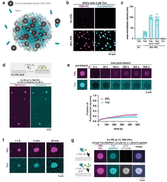 https://cdn.ncbi.nlm.nih.gov/pmc/blobs/9fb8/11166923/b3a18315e5bb/41467_2024_49222_Fig3_HTML.jpg