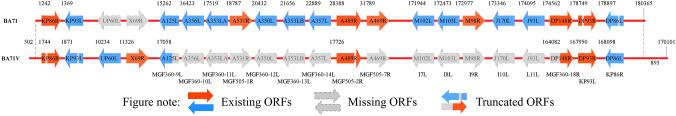 https://cdn.ncbi.nlm.nih.gov/pmc/blobs/9fb9/9560881/927d4f813fee/11262_2022_1939_Fig1_HTML.jpg