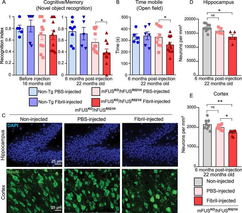 https://cdn.ncbi.nlm.nih.gov/pmc/blobs/9fba/11165889/a277b4e16bb0/13024_2024_737_Fig4_HTML.jpg