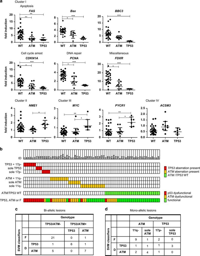 https://cdn.ncbi.nlm.nih.gov/pmc/blobs/9fbb/4558513/9cde8ccbe957/cddis2015223f2.jpg