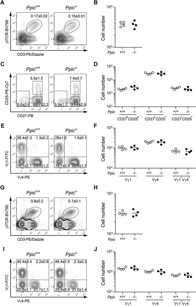 https://cdn.ncbi.nlm.nih.gov/pmc/blobs/9fbb/8453708/266054fc8b68/EJI-51-1968-g003.jpg