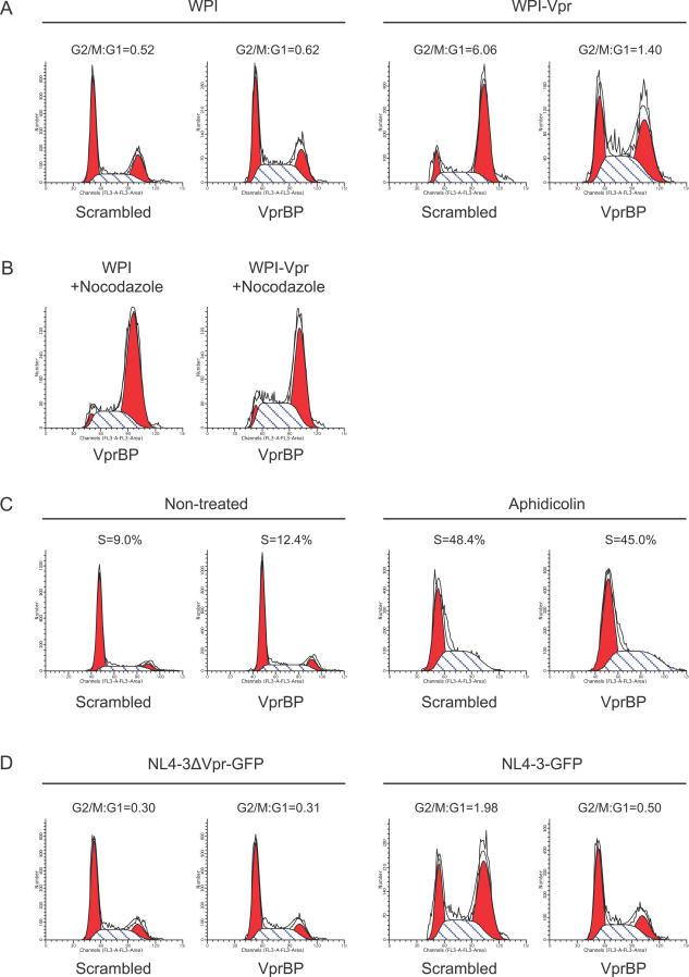https://cdn.ncbi.nlm.nih.gov/pmc/blobs/9fbc/1933442/1377a773b06d/ppat.0030085.g005.jpg
