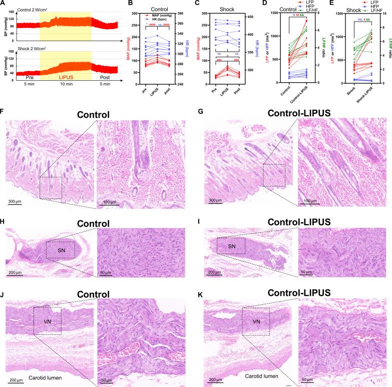 https://cdn.ncbi.nlm.nih.gov/pmc/blobs/9fbf/11922025/12ad3548e86b/sciadv.ads6947-f3.jpg