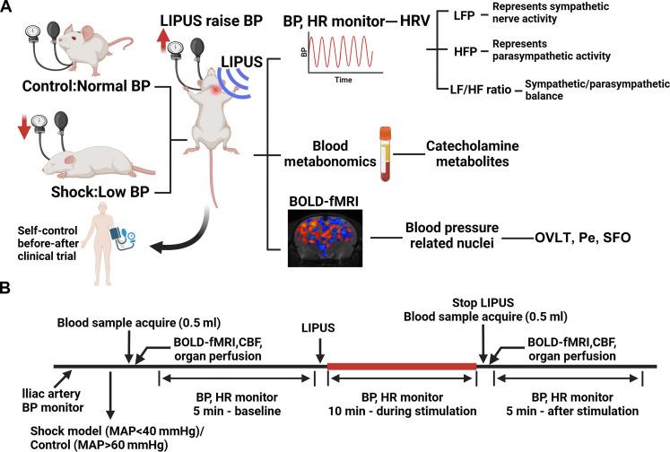 https://cdn.ncbi.nlm.nih.gov/pmc/blobs/9fbf/11922025/799300ffadfe/sciadv.ads6947-f1.jpg