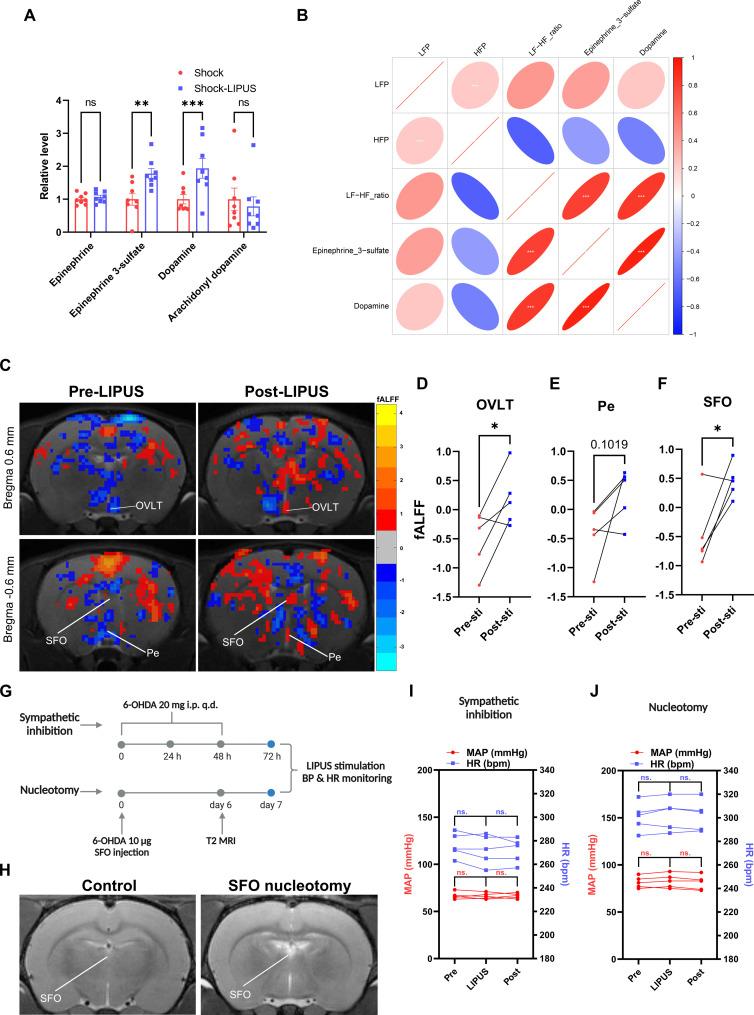 https://cdn.ncbi.nlm.nih.gov/pmc/blobs/9fbf/11922025/ab58dcad9b6b/sciadv.ads6947-f6.jpg