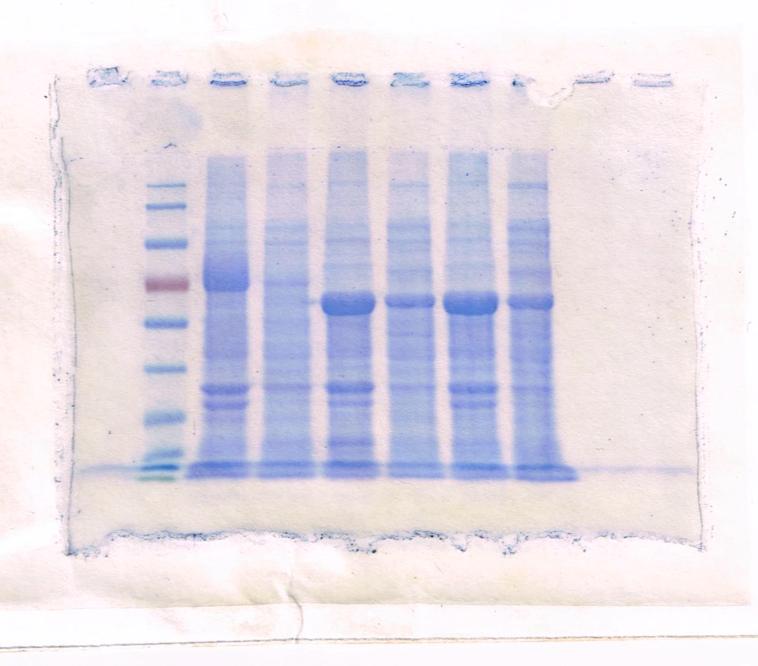 https://cdn.ncbi.nlm.nih.gov/pmc/blobs/9fc0/11301243/609d056c3d81/mmcfigs2.jpg
