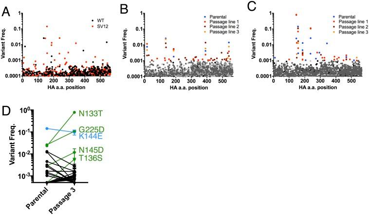 https://cdn.ncbi.nlm.nih.gov/pmc/blobs/9fc0/5773227/2c0f49aa4587/ppat.1006796.g005.jpg