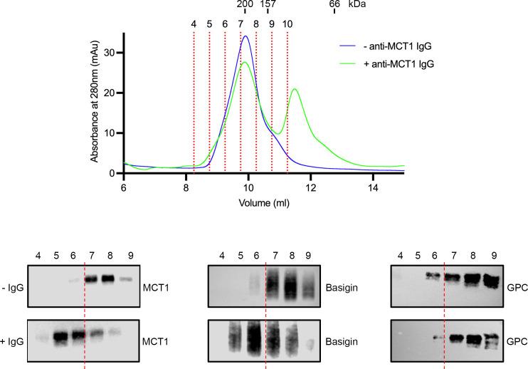 https://cdn.ncbi.nlm.nih.gov/pmc/blobs/9fc1/10569788/8f00291f6952/elife-83681-fig1-figsupp2.jpg