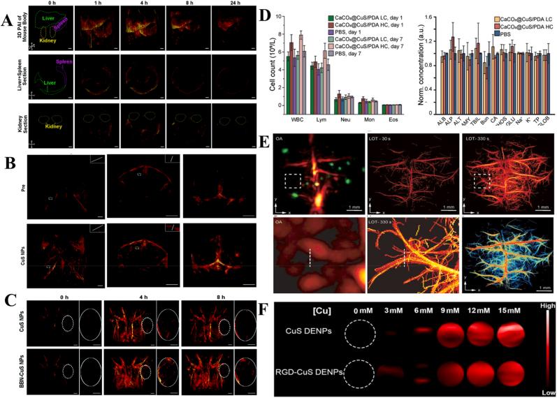 https://cdn.ncbi.nlm.nih.gov/pmc/blobs/9fc2/12391698/c4df1ed03719/gr6.jpg