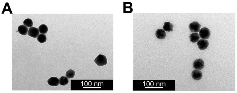 https://cdn.ncbi.nlm.nih.gov/pmc/blobs/9fc4/9921811/53558c9e2a60/sensors-23-01666-g0A4a.jpg