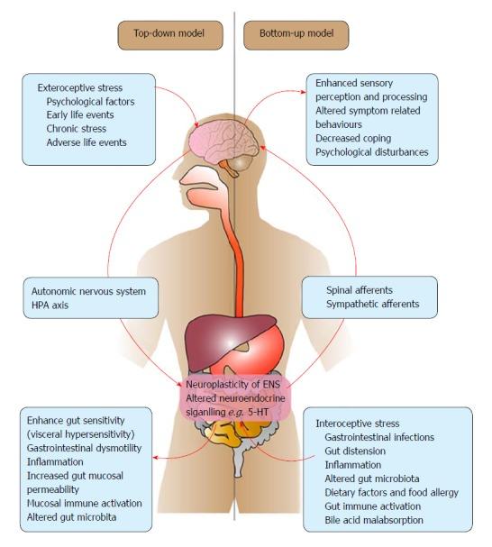 https://cdn.ncbi.nlm.nih.gov/pmc/blobs/9fc6/5989237/8ec65c33e580/WJG-24-2211-g001.jpg