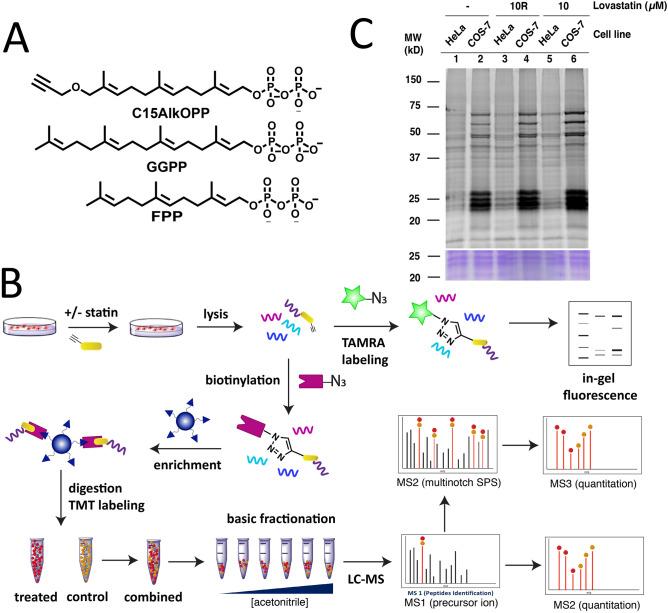 https://cdn.ncbi.nlm.nih.gov/pmc/blobs/9fc7/7902609/5ea75104fb80/41598_2021_83666_Fig1_HTML.jpg