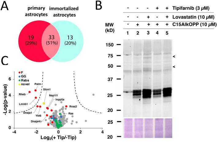 https://cdn.ncbi.nlm.nih.gov/pmc/blobs/9fc7/7902609/84c439d3fc4b/41598_2021_83666_Fig6_HTML.jpg