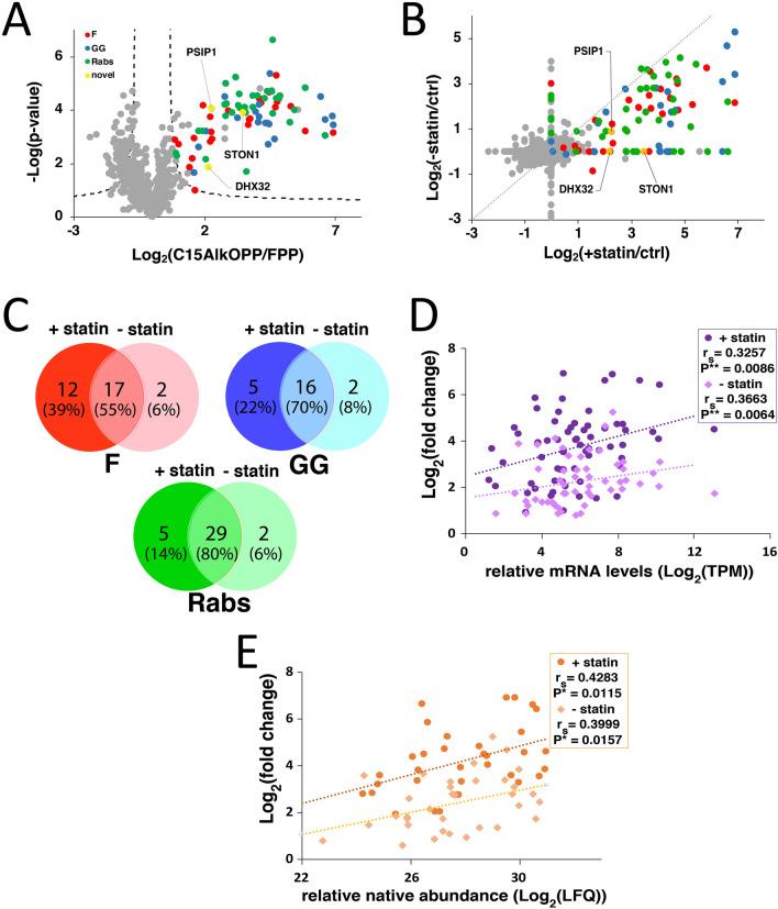 https://cdn.ncbi.nlm.nih.gov/pmc/blobs/9fc7/7902609/e293a05c363c/41598_2021_83666_Fig2_HTML.jpg