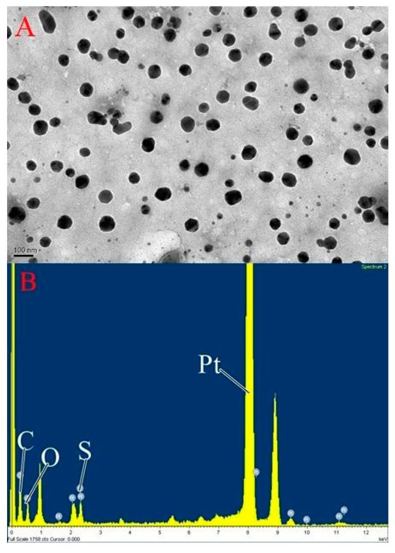 https://cdn.ncbi.nlm.nih.gov/pmc/blobs/9fc9/5503377/58360c4ca2fb/materials-10-00291-g001.jpg
