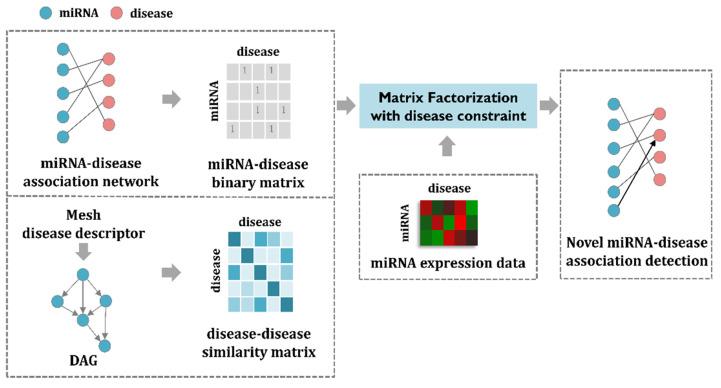 https://cdn.ncbi.nlm.nih.gov/pmc/blobs/9fc9/9224864/d0fb0c02687b/jpm-12-00885-g001.jpg