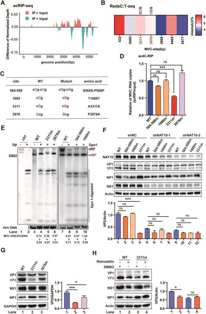 https://cdn.ncbi.nlm.nih.gov/pmc/blobs/9fca/11959542/3201217b6746/gkaf229fig2.jpg