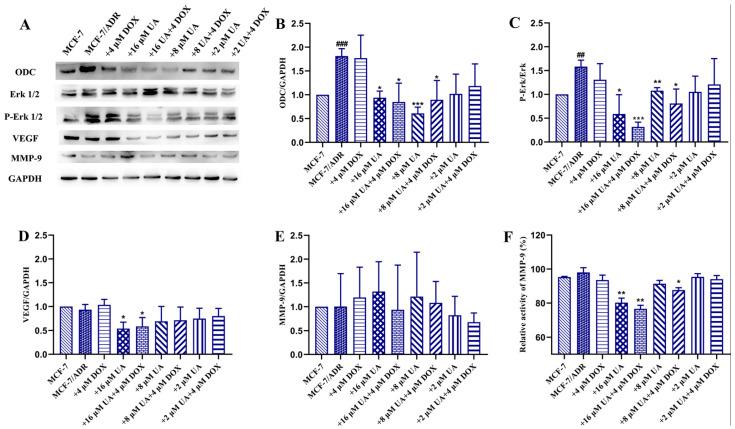 https://cdn.ncbi.nlm.nih.gov/pmc/blobs/9fca/8879026/792df9f341c9/molecules-27-01282-g005.jpg