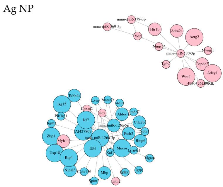 https://cdn.ncbi.nlm.nih.gov/pmc/blobs/9fcb/12347195/4f415dd90d71/ijms-26-07583-g004a.jpg