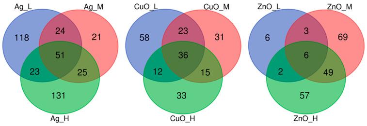 https://cdn.ncbi.nlm.nih.gov/pmc/blobs/9fcb/12347195/822b014191f8/ijms-26-07583-g001.jpg