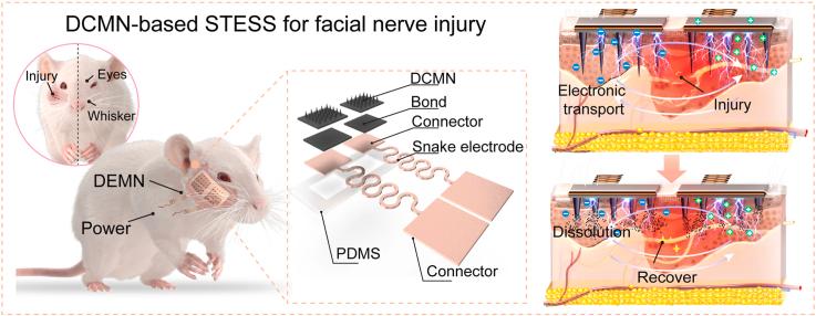 https://cdn.ncbi.nlm.nih.gov/pmc/blobs/9fcc/12328697/1a18e43facee/ga1.jpg