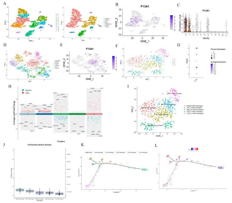 https://cdn.ncbi.nlm.nih.gov/pmc/blobs/9fcf/11852379/62c4c25fd481/biomedicines-13-00256-g008.jpg