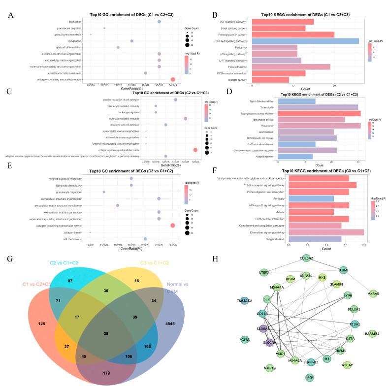 https://cdn.ncbi.nlm.nih.gov/pmc/blobs/9fcf/11852379/98c8b531a3bb/biomedicines-13-00256-g003.jpg