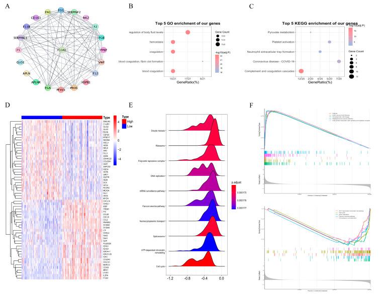 https://cdn.ncbi.nlm.nih.gov/pmc/blobs/9fcf/11852379/e3b5447d6ff0/biomedicines-13-00256-g007.jpg