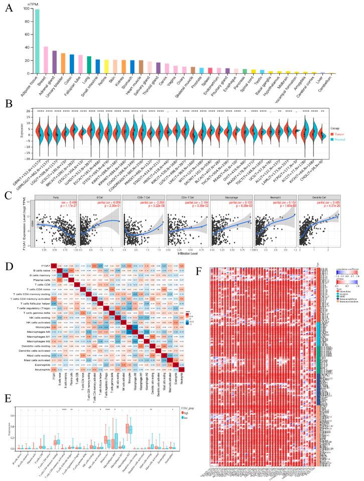 https://cdn.ncbi.nlm.nih.gov/pmc/blobs/9fcf/11852379/f4260011d2d4/biomedicines-13-00256-g005.jpg