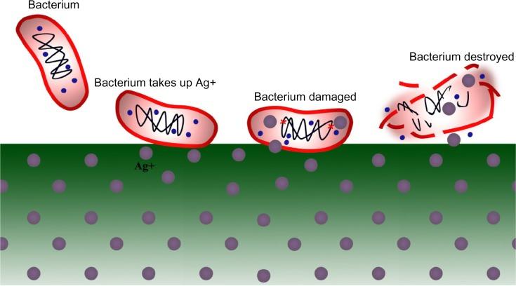 https://cdn.ncbi.nlm.nih.gov/pmc/blobs/9fd0/3839805/030a8ad092c3/ijn-8-4453Fig1.jpg