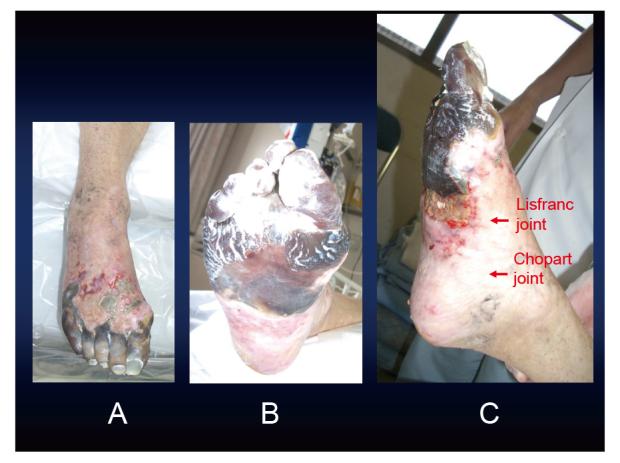 https://cdn.ncbi.nlm.nih.gov/pmc/blobs/9fd1/10122968/414d0cad3d46/2185-4610-69-067-g001.jpg