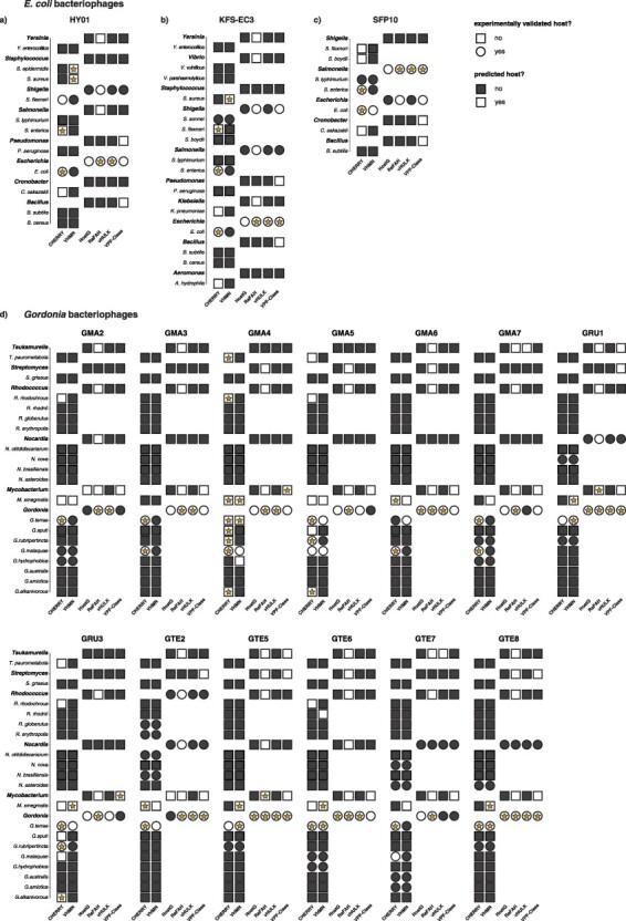 https://cdn.ncbi.nlm.nih.gov/pmc/blobs/9fd2/10868548/d08cbcf2cd05/vead083f3.jpg