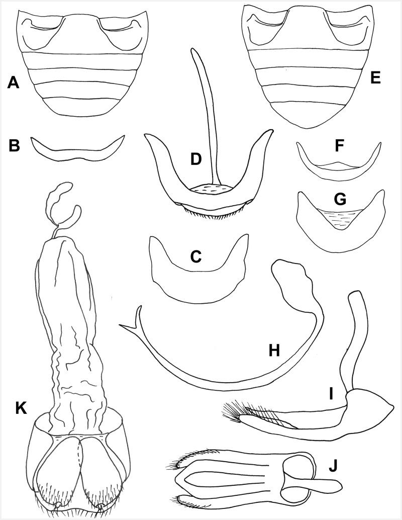 https://cdn.ncbi.nlm.nih.gov/pmc/blobs/9fd3/5030074/425eb92342ad/iew082f60p.jpg