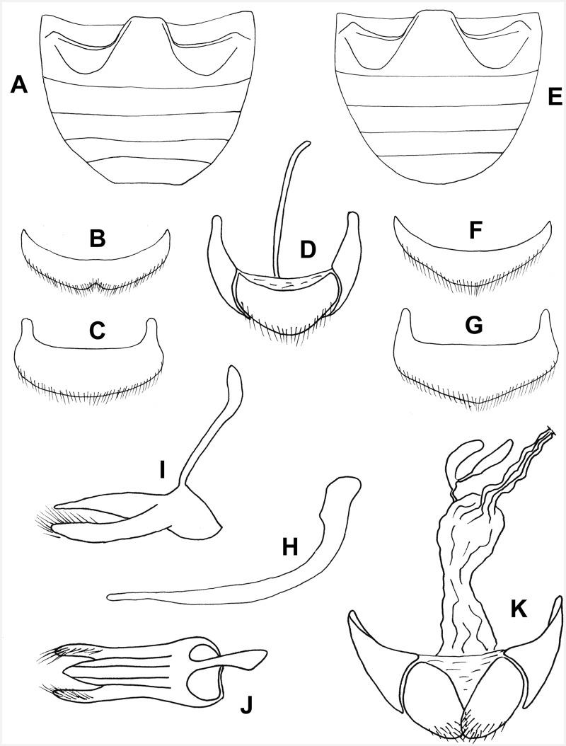 https://cdn.ncbi.nlm.nih.gov/pmc/blobs/9fd3/5030074/d13fbfa21192/iew082f54p.jpg