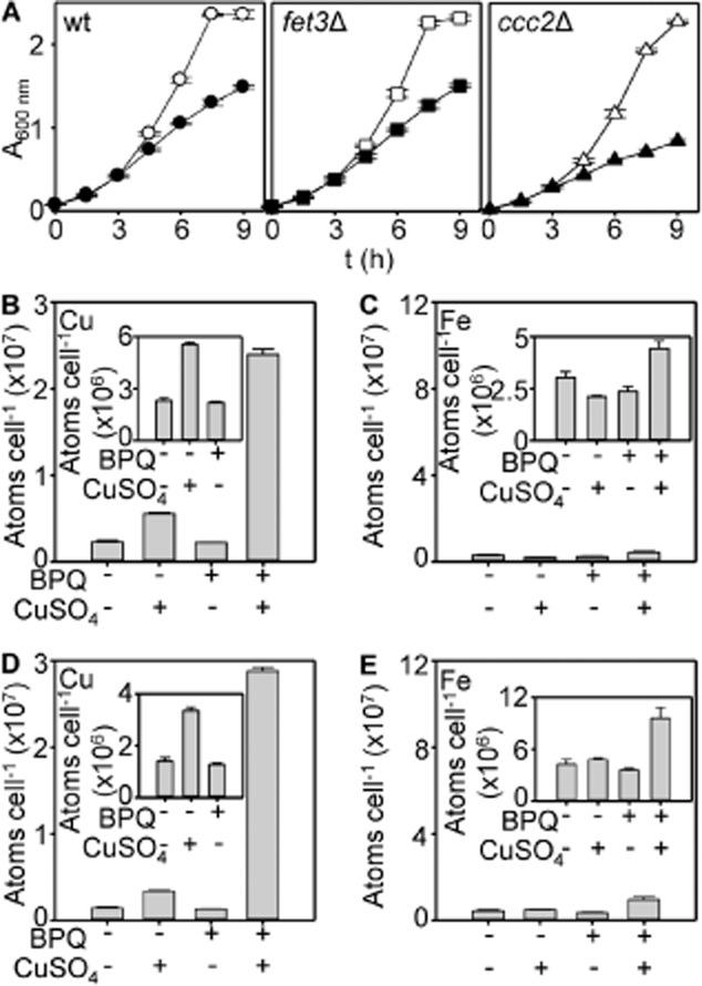 https://cdn.ncbi.nlm.nih.gov/pmc/blobs/9fd6/4149784/116eb593cfb2/mmi0093-0317-f7.jpg