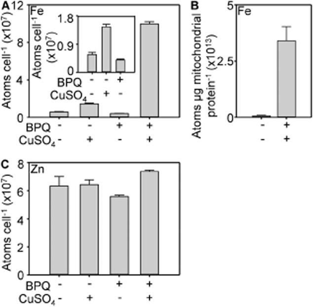 https://cdn.ncbi.nlm.nih.gov/pmc/blobs/9fd6/4149784/9a958b3f3a15/mmi0093-0317-f6.jpg