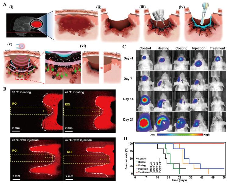 https://cdn.ncbi.nlm.nih.gov/pmc/blobs/9fd9/12294456/64bdb47e722c/gels-11-00544-g008.jpg