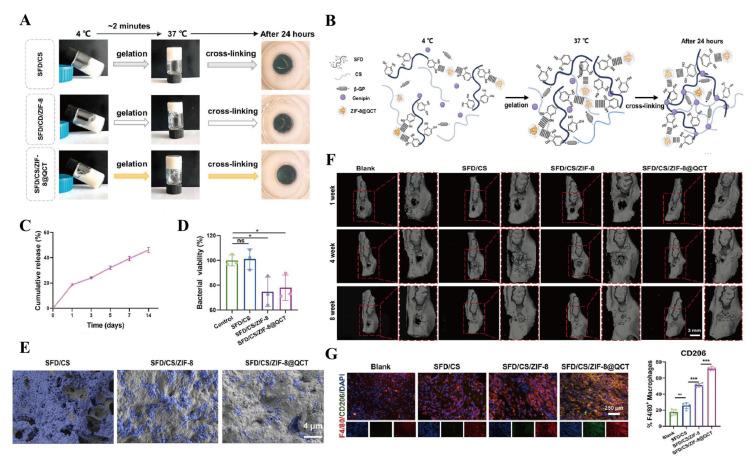 https://cdn.ncbi.nlm.nih.gov/pmc/blobs/9fd9/12294456/729f6f8cc51f/gels-11-00544-g006.jpg
