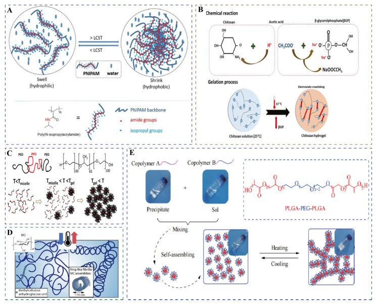 https://cdn.ncbi.nlm.nih.gov/pmc/blobs/9fd9/12294456/88c2187cc63d/gels-11-00544-g002.jpg