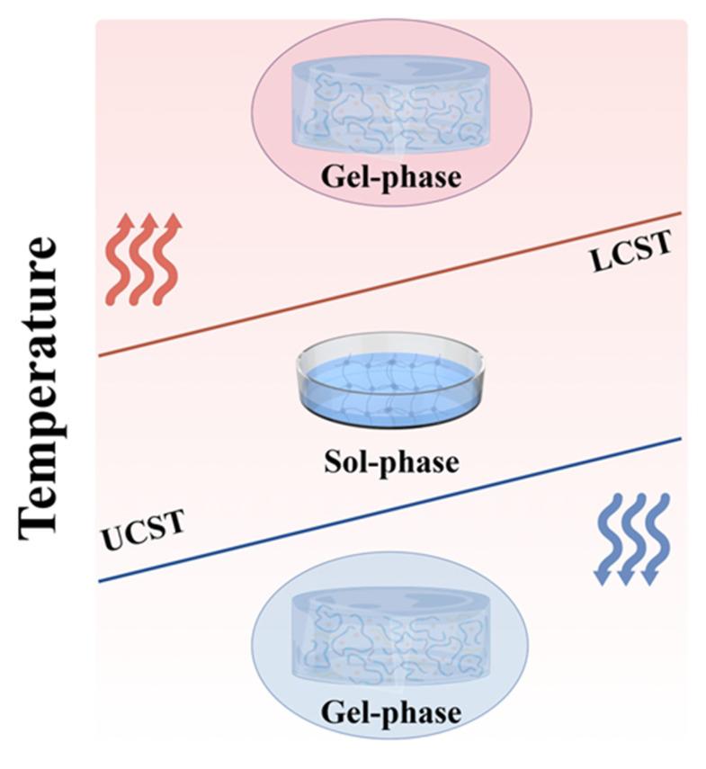 https://cdn.ncbi.nlm.nih.gov/pmc/blobs/9fd9/12294456/cd173e6aac4e/gels-11-00544-g001.jpg