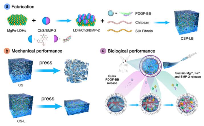 https://cdn.ncbi.nlm.nih.gov/pmc/blobs/9fd9/12294456/f3675b1a5a60/gels-11-00544-g005.jpg